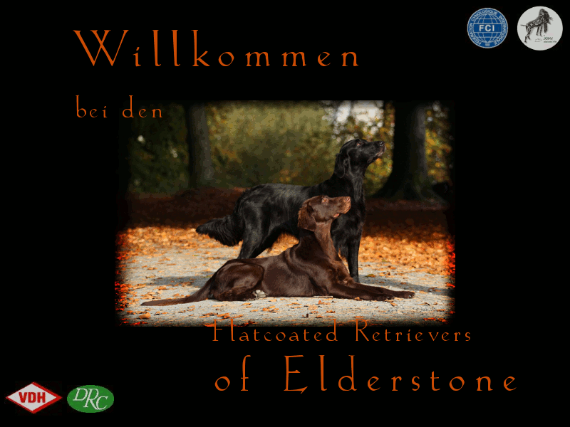 Willkommen